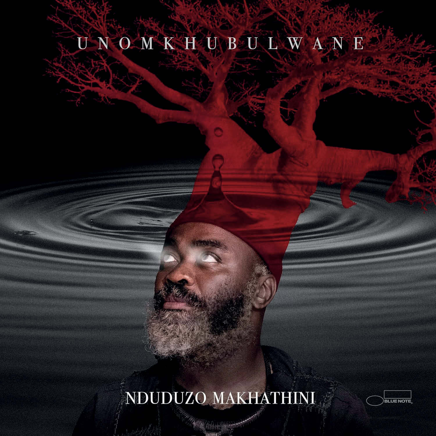 Nduduzo Makhathini: Unomkhubulwane. Das CD-Cover zeigt einen Mann mit leuchtenden Augen einem rot gefärbten Baum als Haupthaar und im Hintergrund ein Wassertropfen auf einer Wasseroberfläche