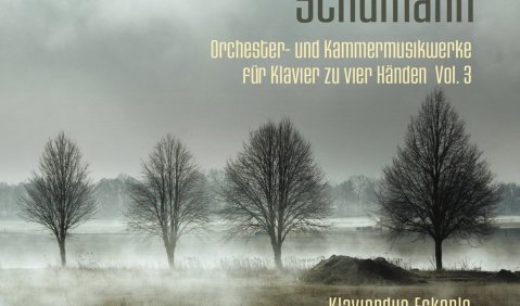 Eckerle Schumann Cover