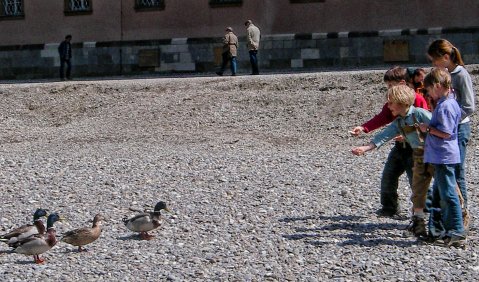 Der Kampf ums Recht. Foto: Hufner