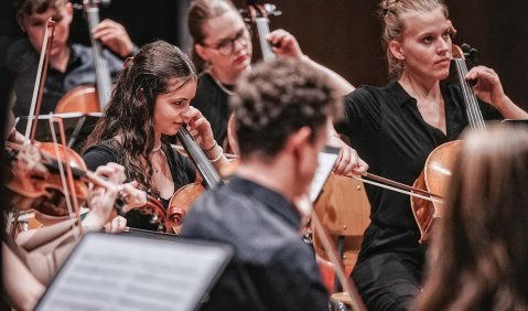 Foto des Celli- und Bratschenregisters während eines Orchesterkonzert