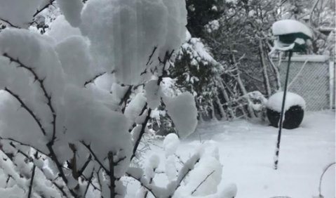 White Christmas - Träume erfüllen sich manchmal. Foto: Anne Lieberwirth