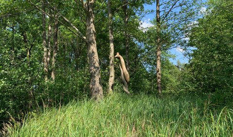 Spreewald in der Lausitz, wo neben der Natur beim Lausitz-Festival Jazz, Theater und Klassik zu erleben ist. Foto: Lieberwirth